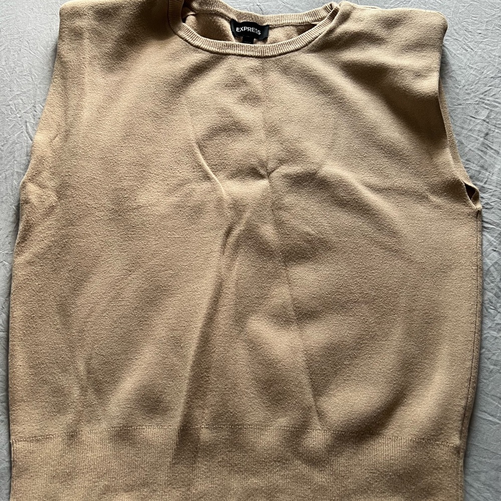 Express Tan Crew Neck Sweater